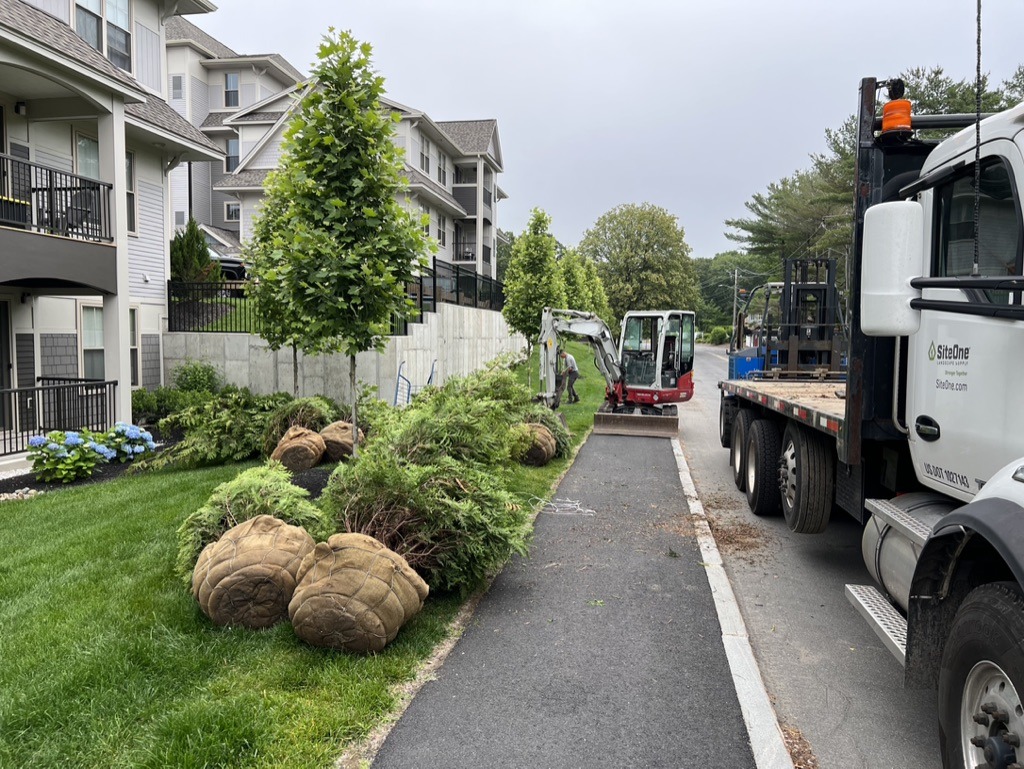 A truck and excavator parked on a residential street beside a landscaped area with newly planted trees wrapped in burlap.