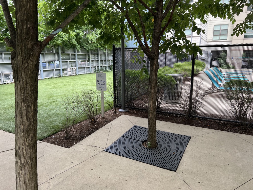 A landscaped yard with artificial turf, fenced area, lounging chairs, and a sign reading "No Dogs Allowed on Turf" under trees.