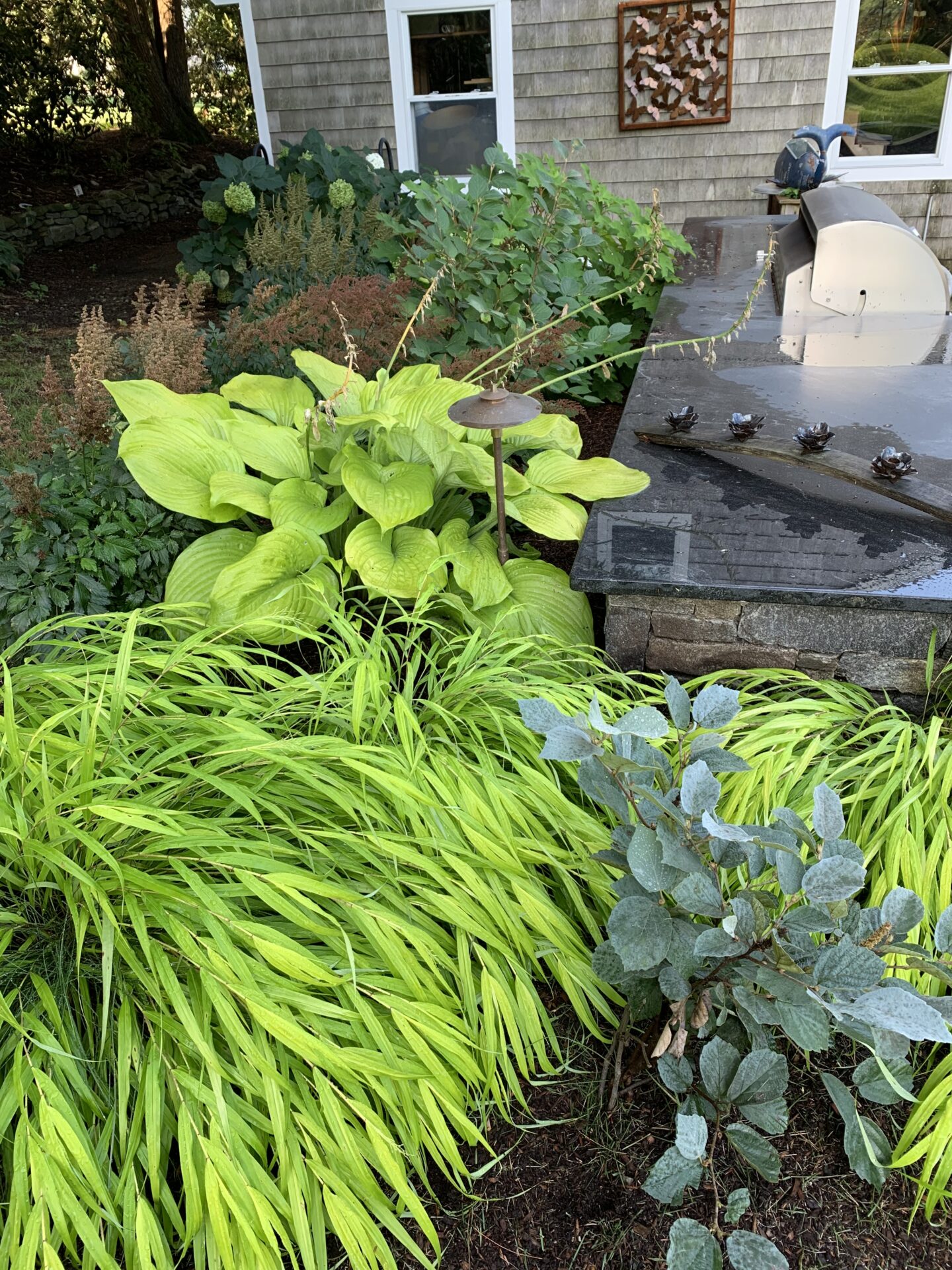 A lush garden with a variety of green plants, a stone counter, and wooden siding, featuring a decorative metal artwork and statue.