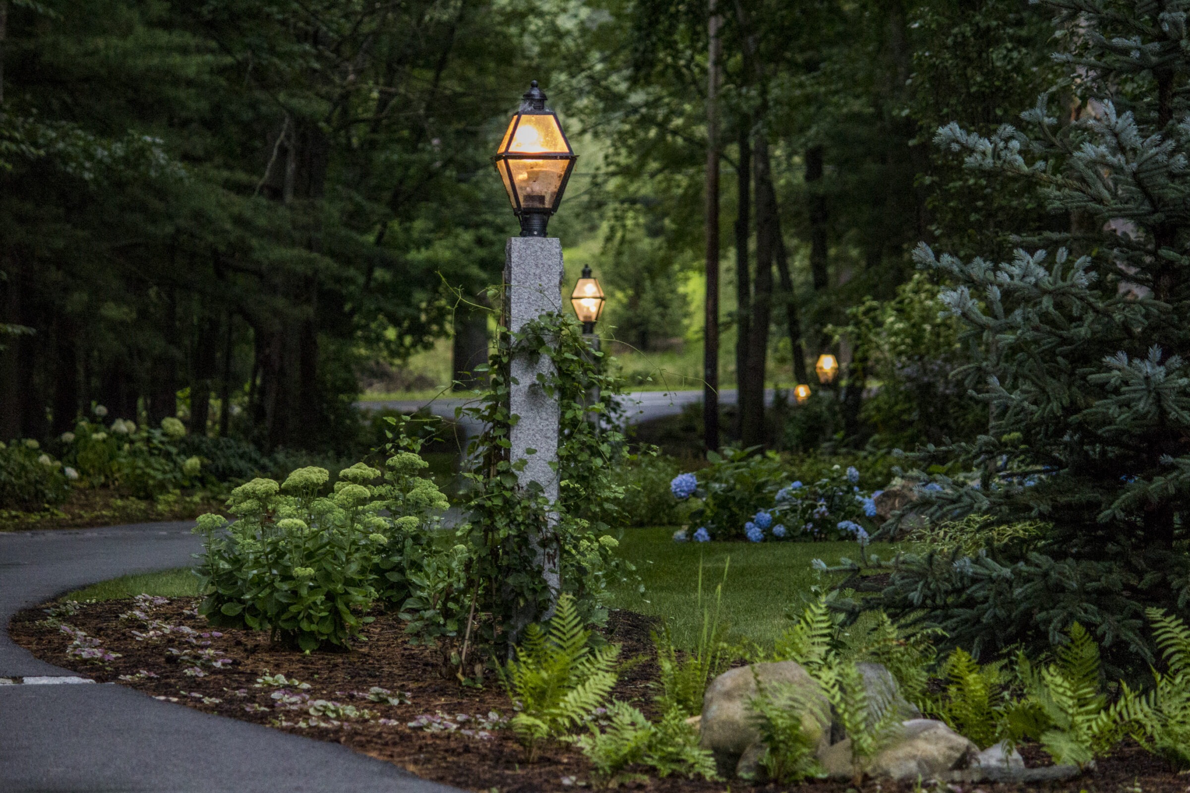 A winding path through a lush, wooded garden with lit lamp posts, hydrangeas, and ferns, creating a serene, picturesque scene.