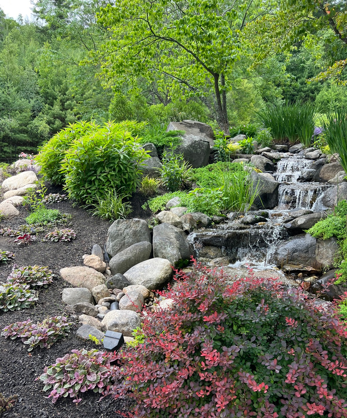 A beautifully landscaped garden features a small waterfall cascading over rocks, surrounded by lush greenery and colorful plants, with trees in the background.