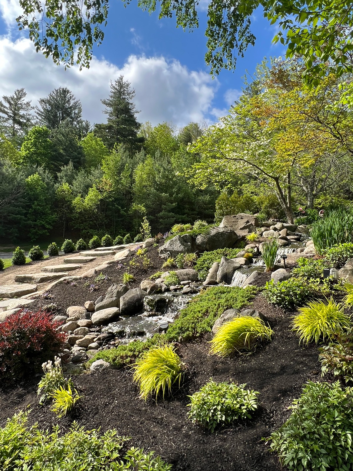Lush garden with rocks, a small waterfall, and diverse foliage under a bright, partly cloudy sky; surrounded by a forest backdrop.