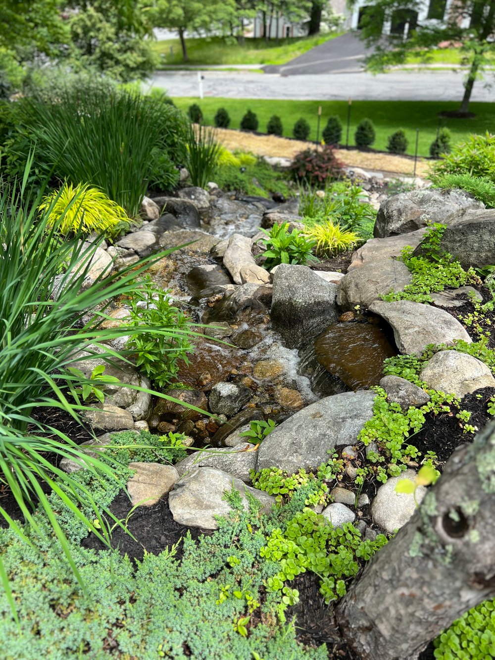 A serene garden stream flows through rocks surrounded by lush greenery, leading to a road lined with neatly trimmed hedges and trees.