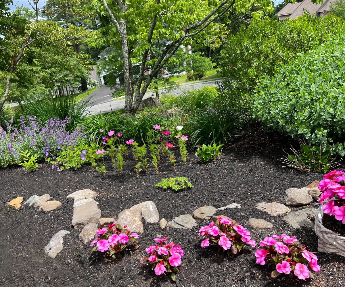 A colorful garden scene with pink and purple flowers, greenery, and a few trees near a road lined with houses in the background.
