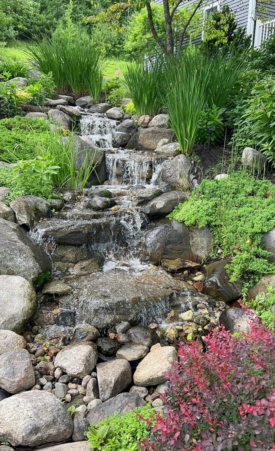 A small, tranquil garden waterfall cascades over rocks, surrounded by lush green plants and colorful foliage, creating a serene natural landscape.