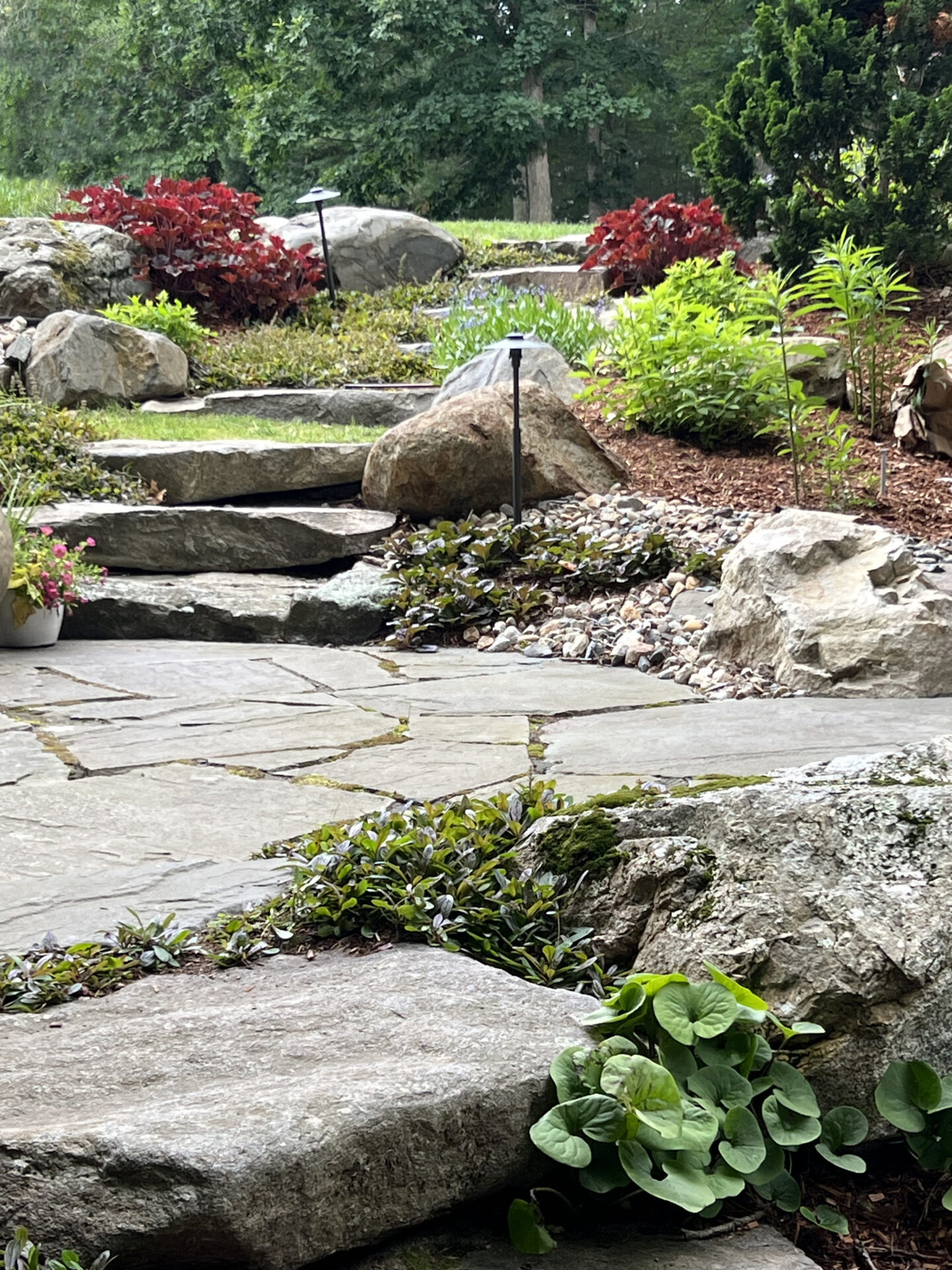A serene garden with stone steps and lush greenery, featuring vibrant red and green plants against a backdrop of large rocks and trees.