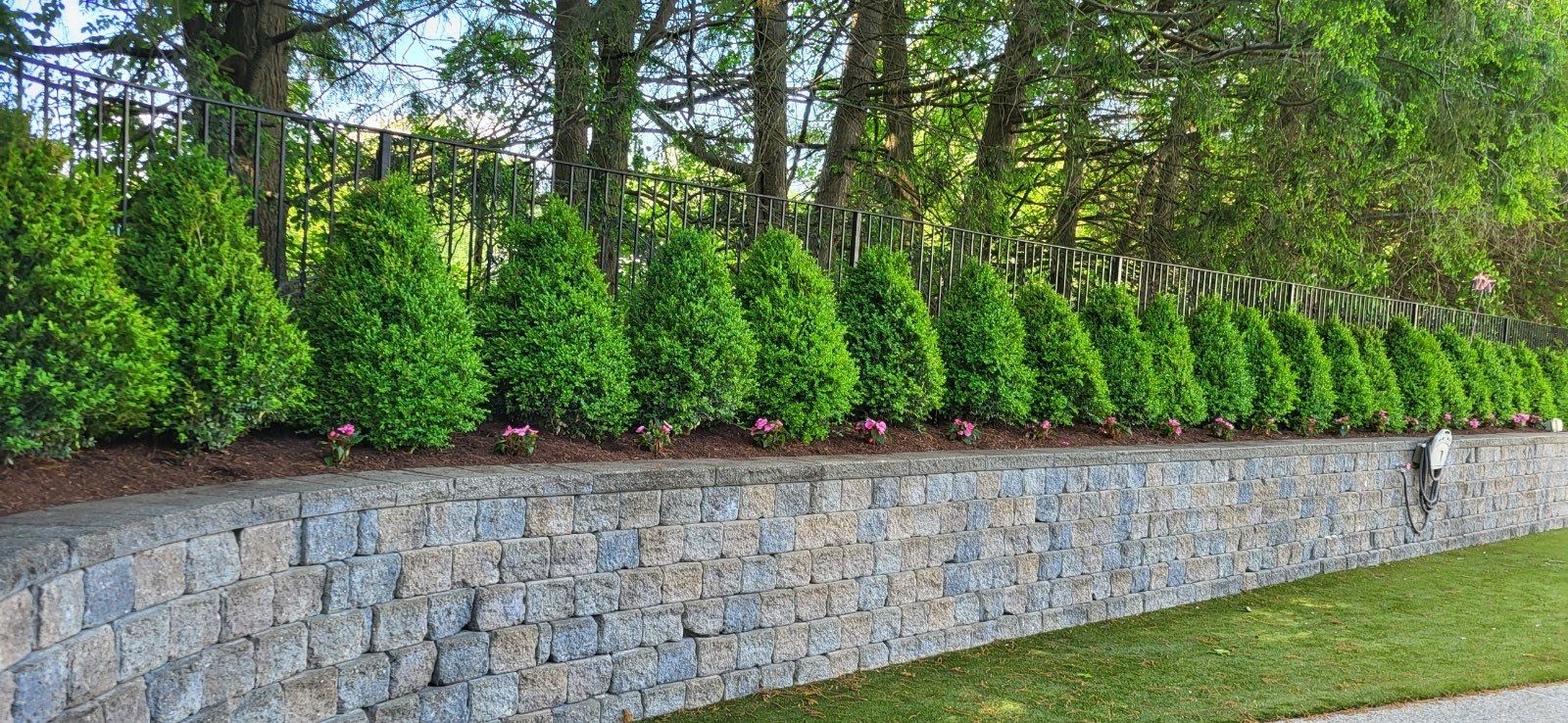A neatly trimmed hedge with red flowers lines a stone retaining wall, backed by tall trees and a black metal fence.