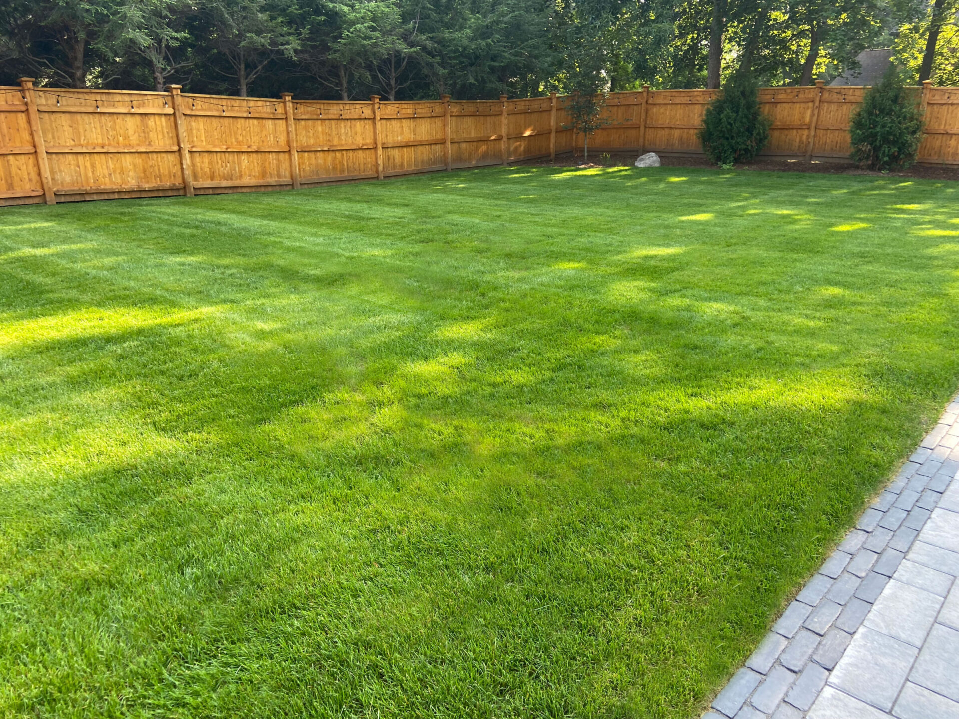 A neatly maintained backyard with lush green grass, bordered by a wooden fence and a stone pathway, surrounded by trees.