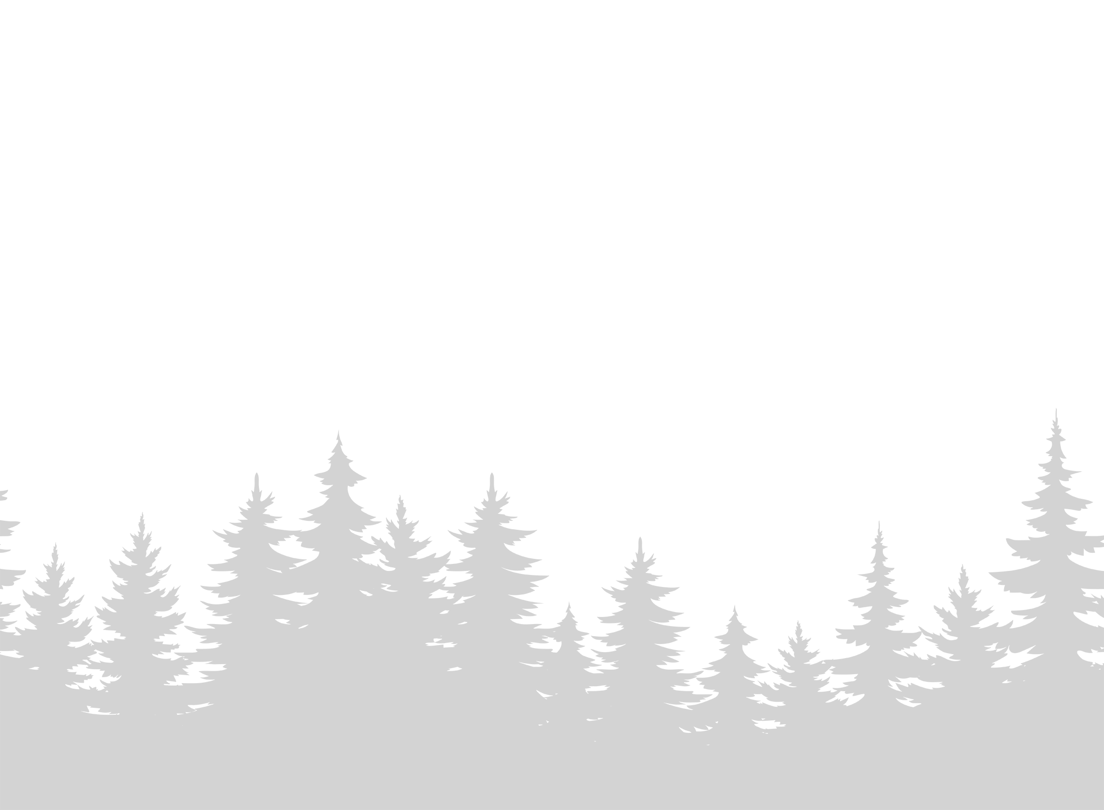 A person sits reading among a lush pine forest landscape, wearing a safari hat. Sunlight filters through tall trees, creating a serene atmosphere.