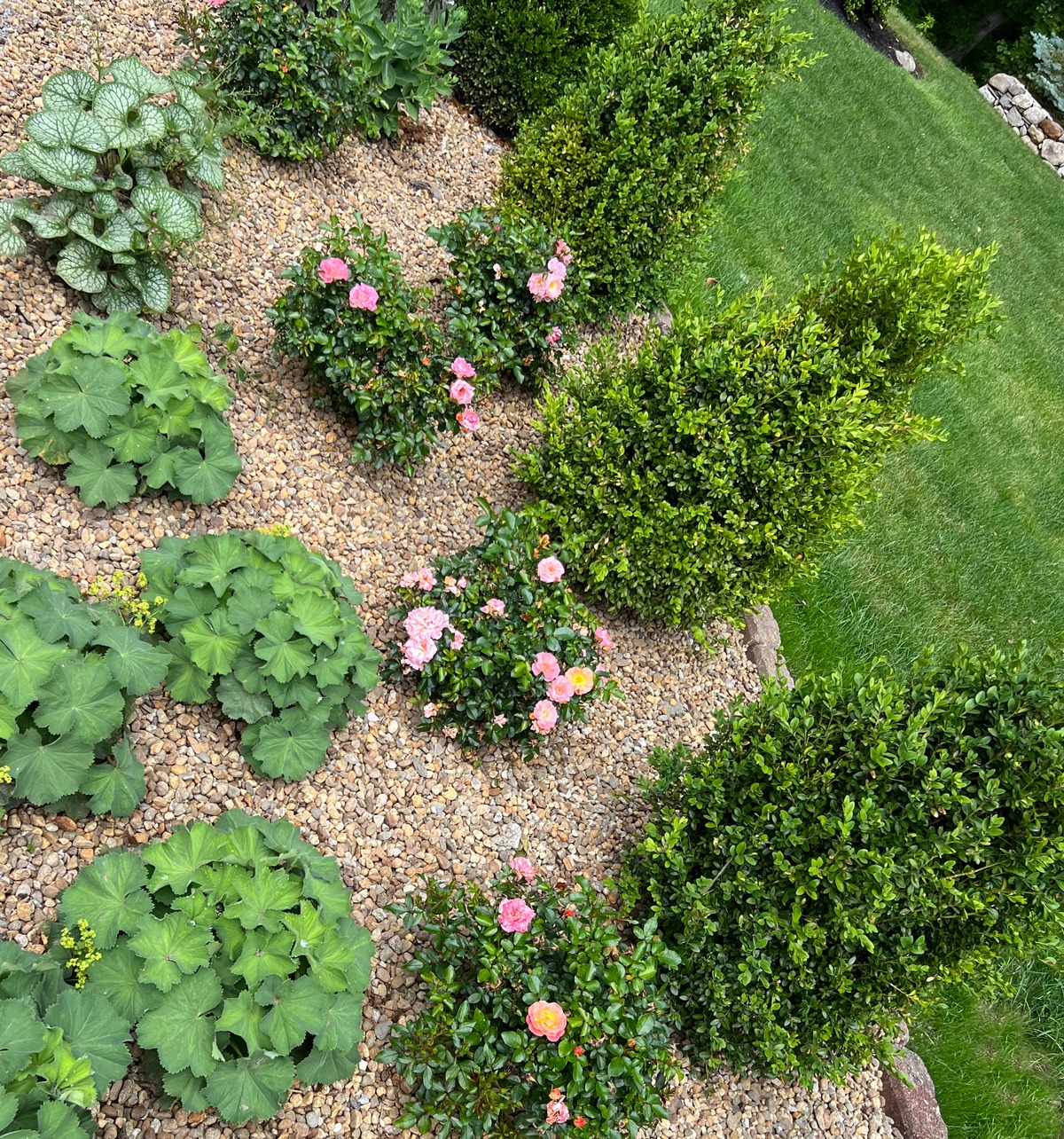 A neatly arranged garden features green foliage and pink flowers with a background of grassy lawn, creating a serene and tidy outdoor space.
