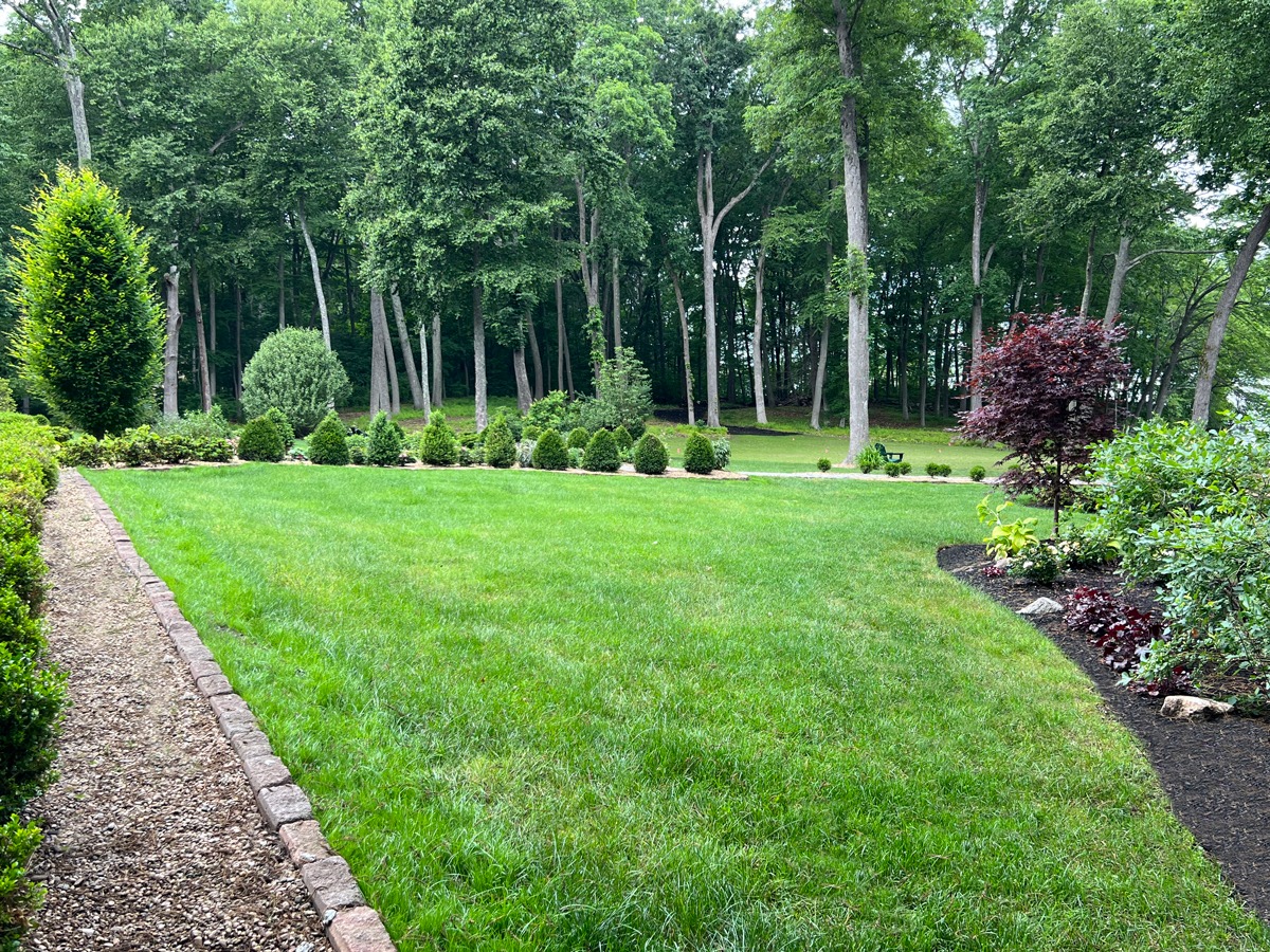 A lush garden features a manicured lawn, colorful shrubs, and a gravel path, surrounded by tall trees creating a serene, wooded backdrop.