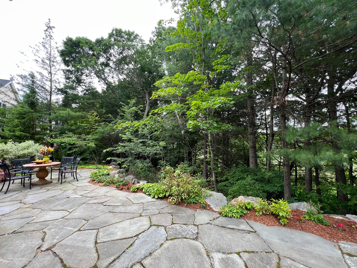 A stone patio with a table and chairs overlooks a lush green forest, surrounded by neatly arranged plants and vibrant flowers.
