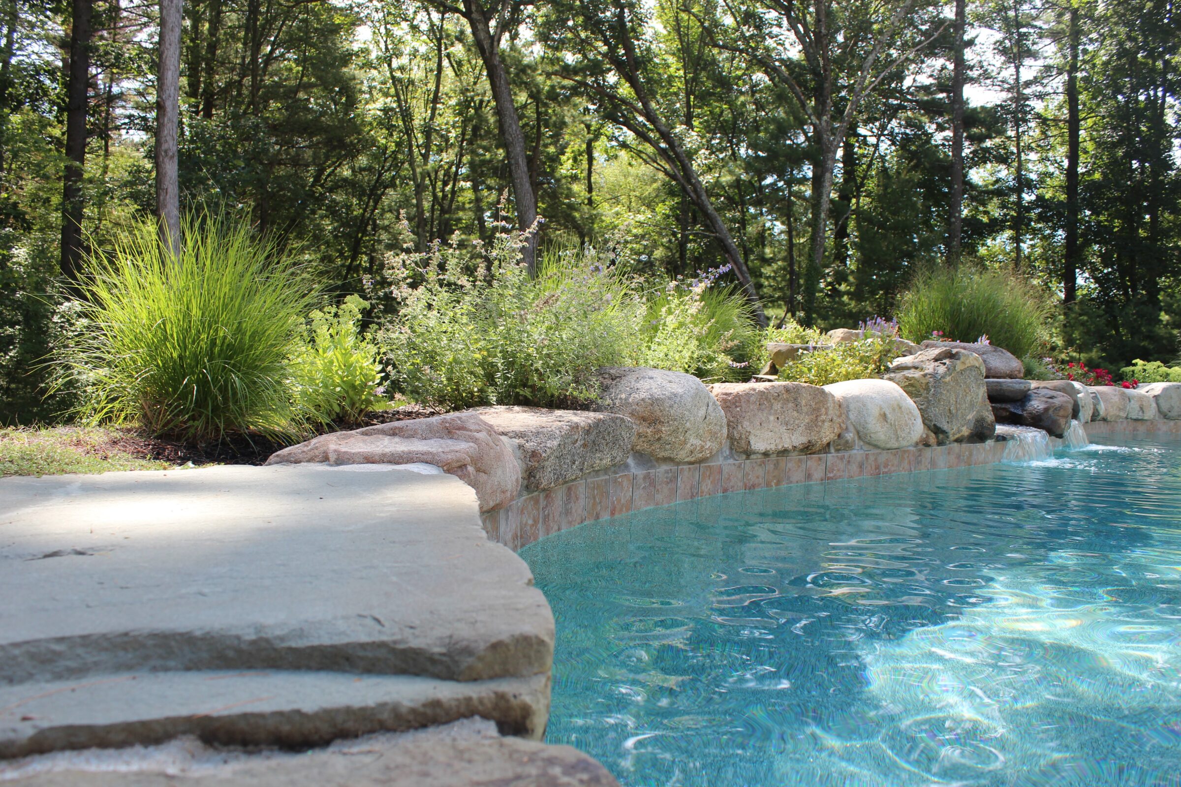 A serene pool with clear water is surrounded by rocks and lush greenery, creating a tranquil natural setting in a wooded area.