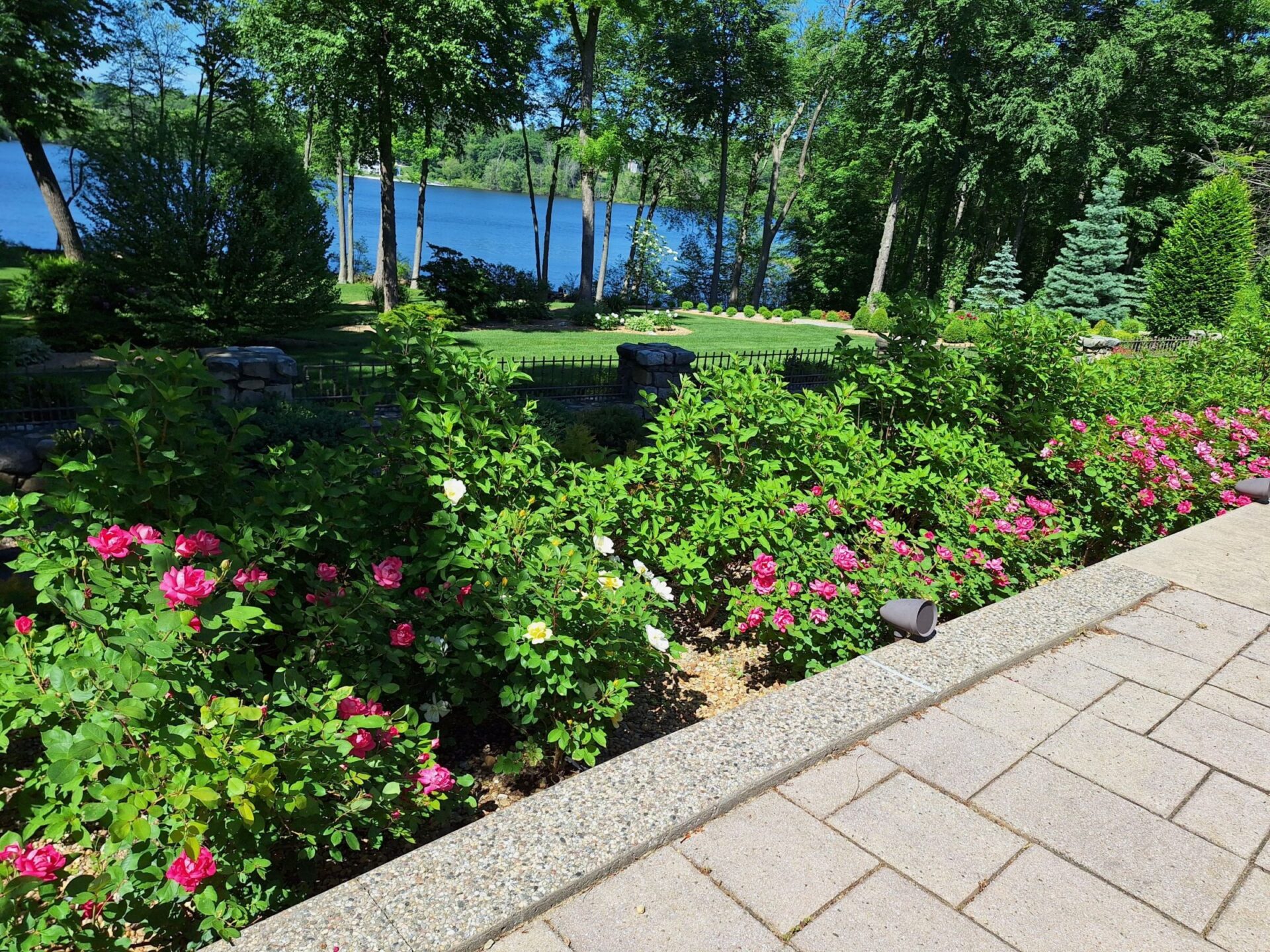 A vibrant garden with pink flowers lines a stone walkway, overlooking a serene lake surrounded by lush trees under a clear blue sky.