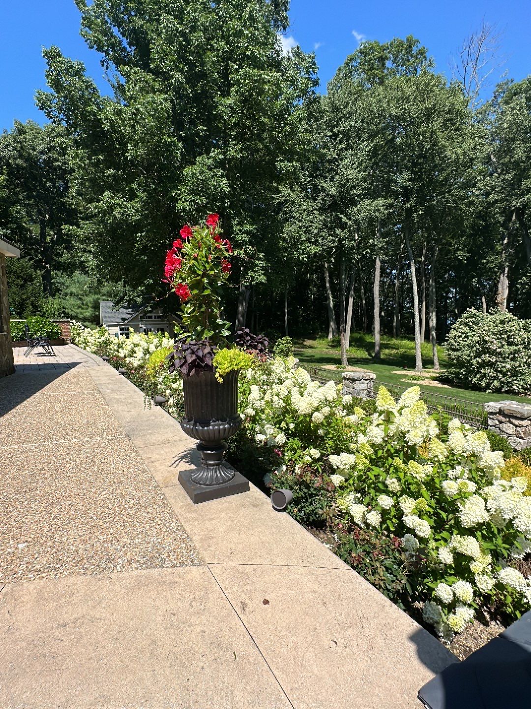 A peaceful garden scene with blossoming flowers, a large decorative planter, and lush green trees under a bright blue sky.