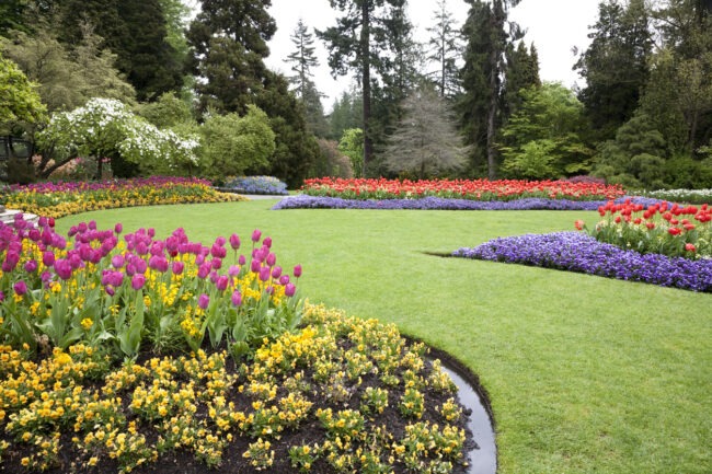 Backyard landscaping ideas using local flora and beautiful flowers for an ornate garden landscape.