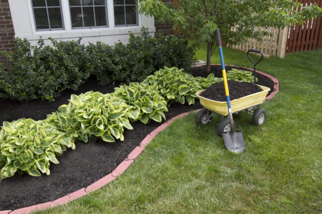 Implementing mulch to help with water conservation in a planter area.