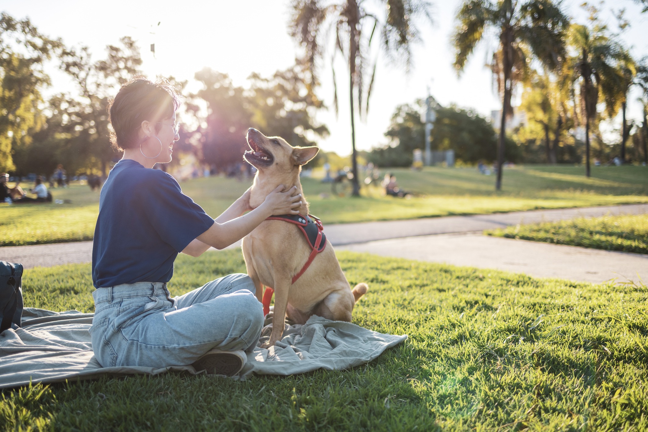 A person sits on a blanket in a sunny park, playing with a dog. People relax in the background amidst trees.