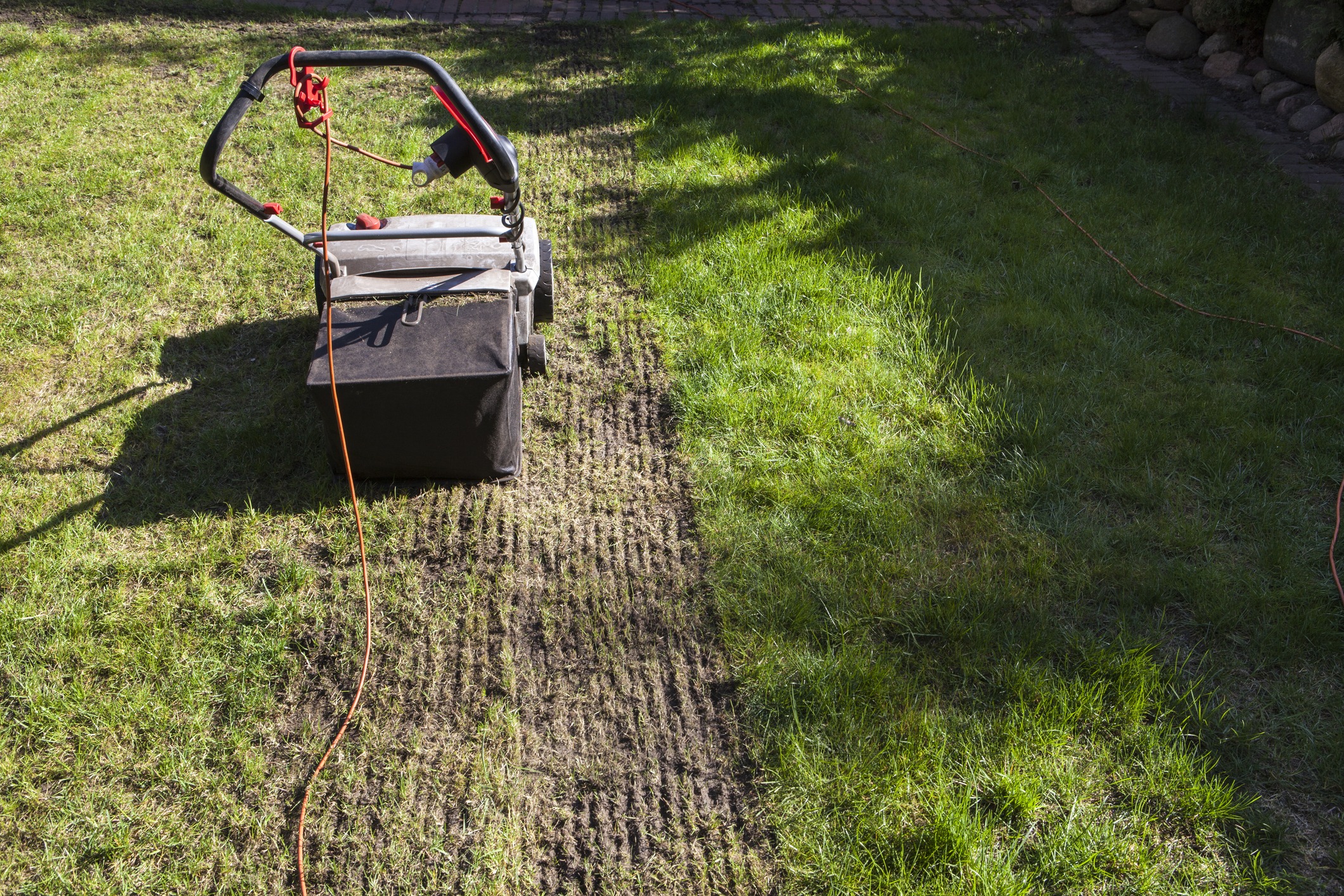 A lawn mower with an orange cord cuts grass, creating a distinct line between mowed and uncut areas in a sunny garden.