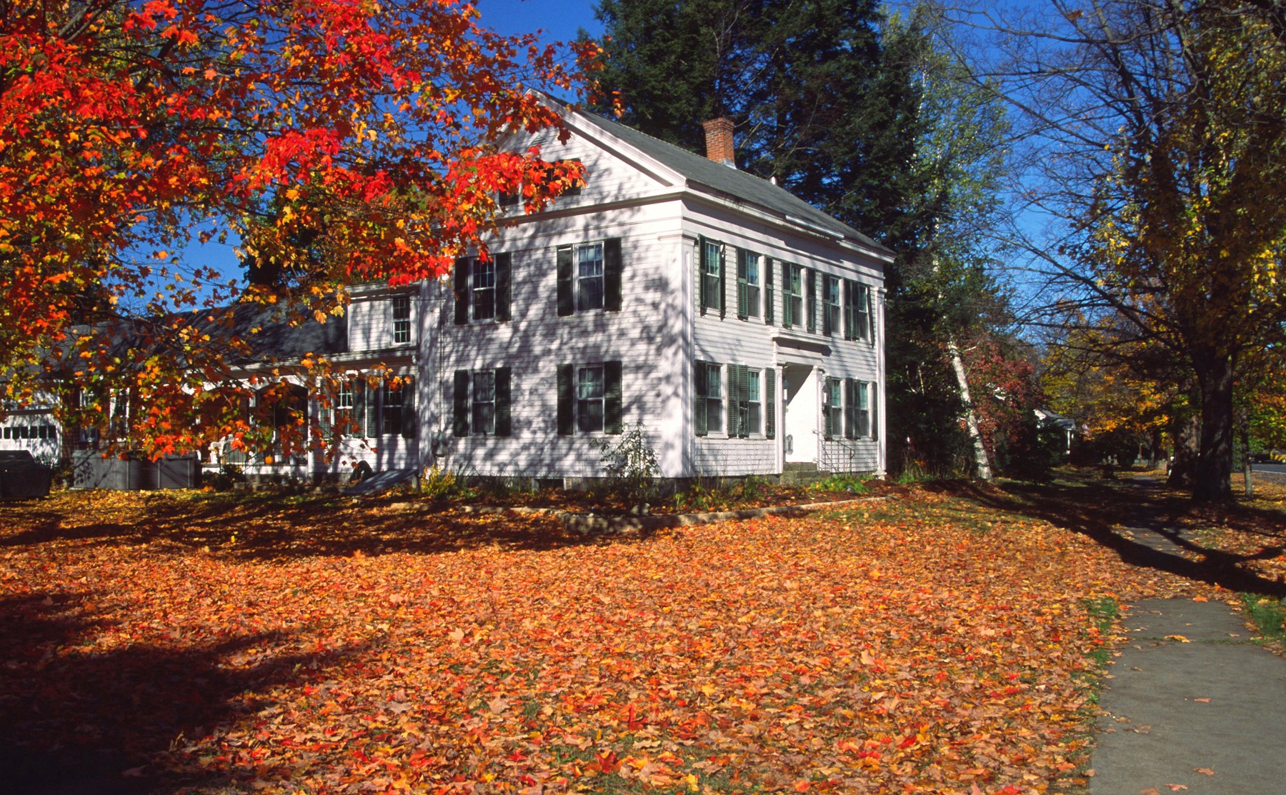 White New England style home on a sunny day with orange and red fall leaves on the ground and red leaves still on the trees. 